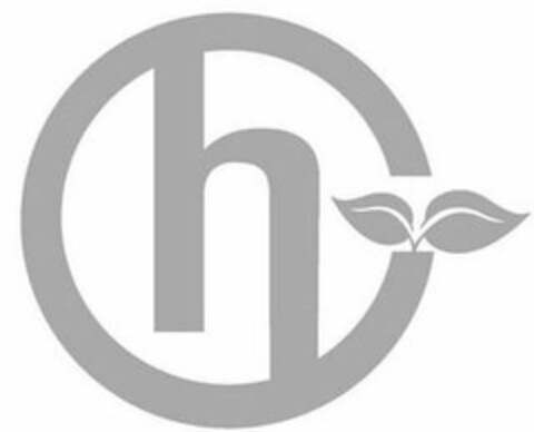 H Logo (USPTO, 03.03.2020)