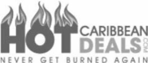 HOT CARIBBEAN DEALS.COM NEVER GET BURNED AGAIN Logo (USPTO, 19.11.2010)