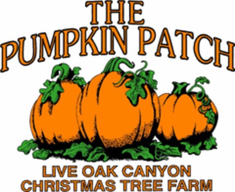 THE PUMPKIN PATCH LIVE OAK CANYON CHRISTMAS TREE FARM Logo (USPTO, 02/04/2011)