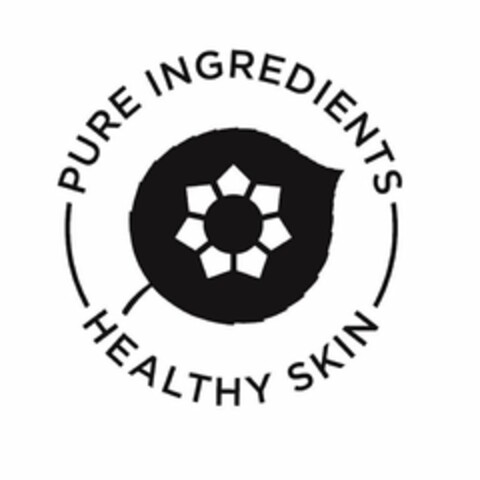 HEALTHY SKIN PURE INGREDIENTS Logo (USPTO, 25.04.2012)