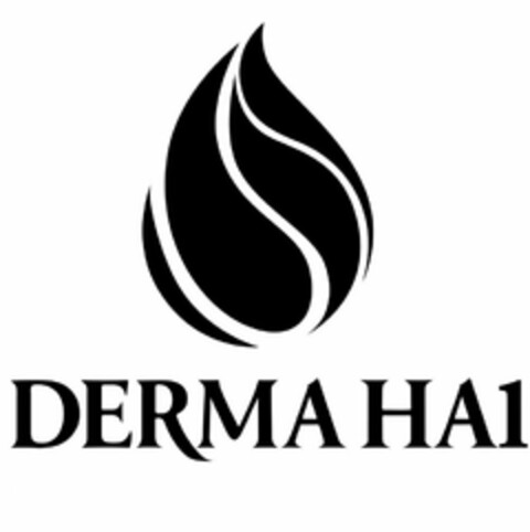 DERMA HA1 Logo (USPTO, 06/28/2013)