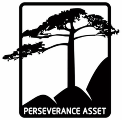 PERSEVERANCE ASSET Logo (USPTO, 07.09.2018)