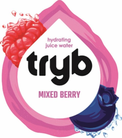 HYDRATING JUICE WATER TRYB MIXED BERRY Logo (USPTO, 11/26/2019)