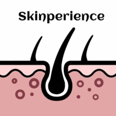 SKINPERIENCE Logo (USPTO, 17.05.2020)