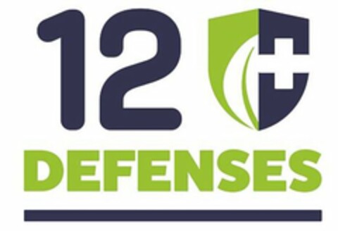 12 DEFENSES Logo (USPTO, 04.09.2020)