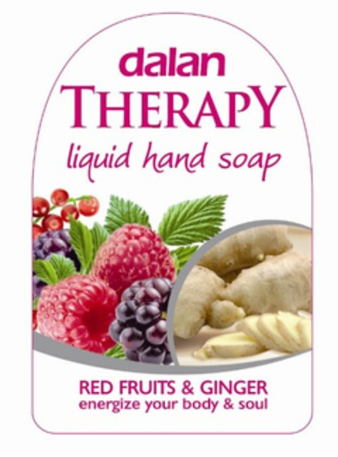 DALAN THERAPY LIQUID HAND SOAP RED FRUITS & GINGER ENERGIZE YOUR BODY & SOUL Logo (USPTO, 04/08/2011)