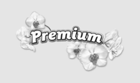 PREMIUM Logo (USPTO, 18.07.2011)