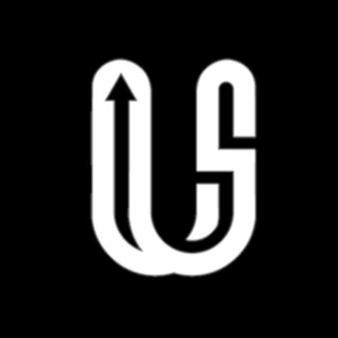 US Logo (USPTO, 20.06.2016)
