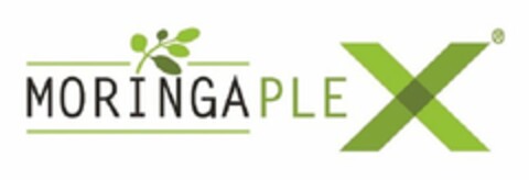 MORINGAPLEX Logo (USPTO, 06.07.2017)