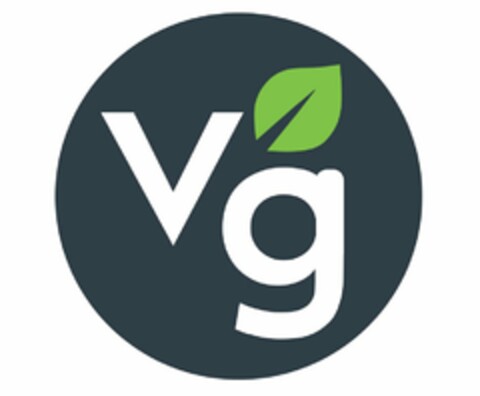 VG Logo (USPTO, 29.01.2018)