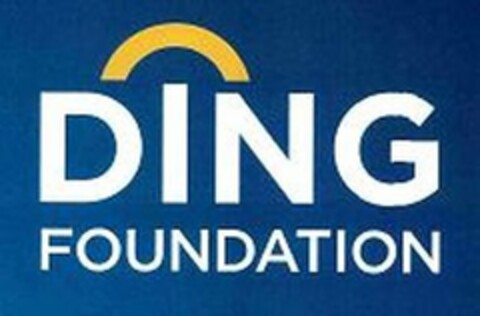 DING FOUNDATION Logo (USPTO, 22.02.2019)