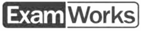 EXAMWORKS Logo (USPTO, 05.08.2010)