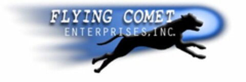 FLYING COMET ENTERPRISES, INC. Logo (USPTO, 10/03/2011)