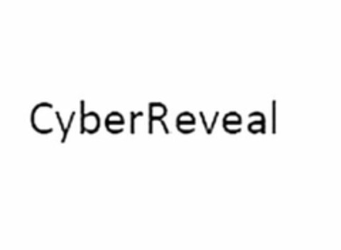 CYBERREVEAL Logo (USPTO, 03/31/2014)