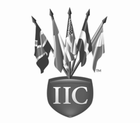 IIC Logo (USPTO, 04/22/2014)