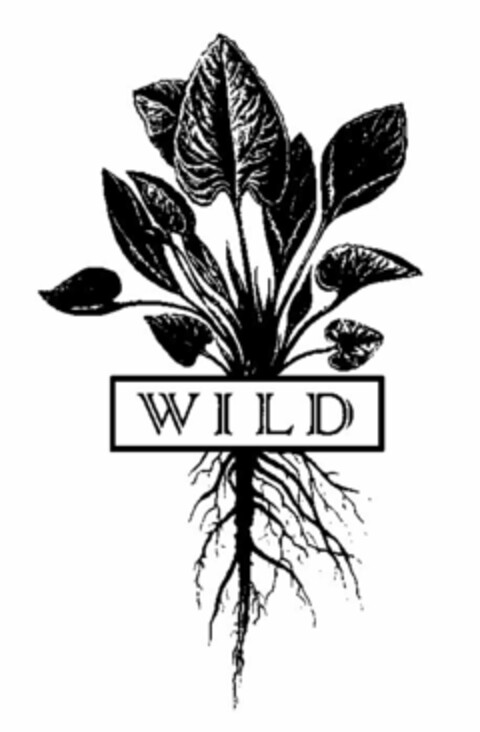 WILD Logo (USPTO, 12/31/2015)