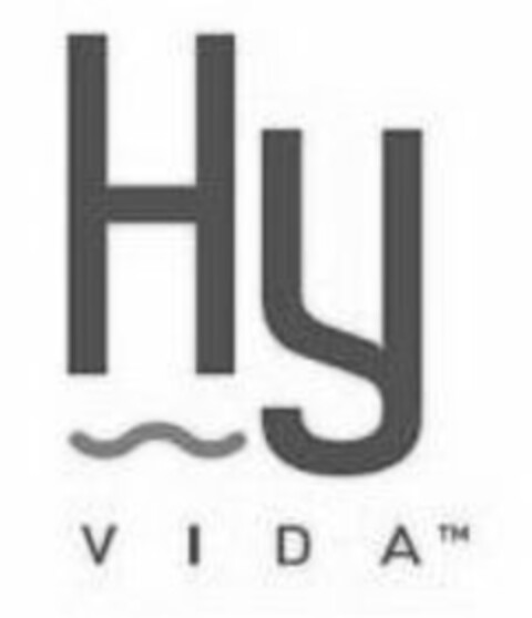 HY VIDA Logo (USPTO, 01/13/2017)