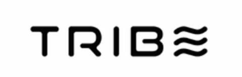 TRIBE Logo (USPTO, 12/14/2019)