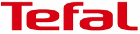 TEFAL Logo (USPTO, 02/21/2020)