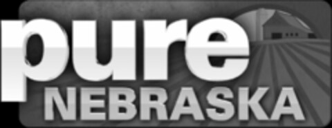 PURE NEBRASKA Logo (USPTO, 05/30/2018)