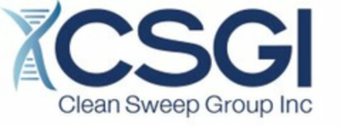 CSGI CLEAN SWEEP GROUP INC Logo (USPTO, 05/31/2013)