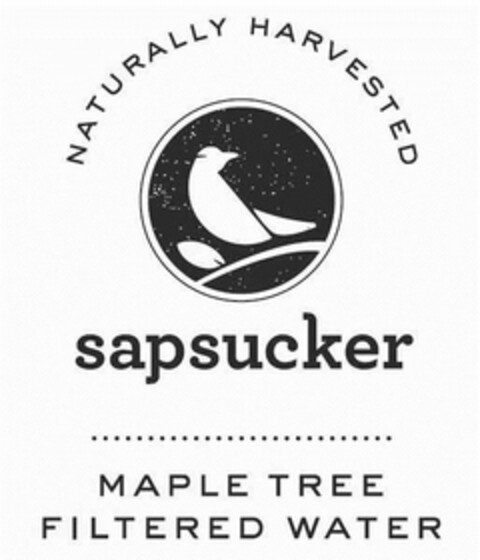 NATURALLY HARVESTED SAPSUCKER MAPLE TREE FILTERED WATER Logo (USPTO, 05.03.2015)