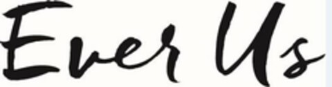 EVER US Logo (USPTO, 15.09.2015)