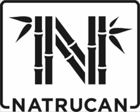 N NATRUCAN Logo (USPTO, 03/08/2018)