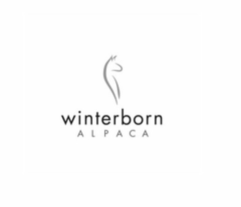 WINTERBORN ALPACA Logo (USPTO, 19.09.2019)