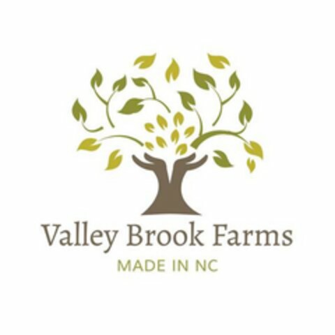 VALLEY BROOK FARMS MADE IN NC Logo (USPTO, 02/07/2020)