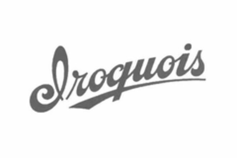 IROQUOIS Logo (USPTO, 08.04.2020)