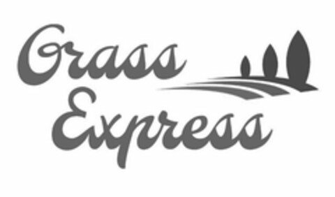 GRASS EXPRESS Logo (USPTO, 11.06.2020)