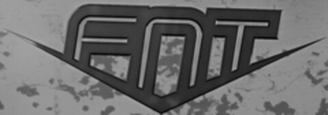 FNT Logo (USPTO, 12.01.2009)