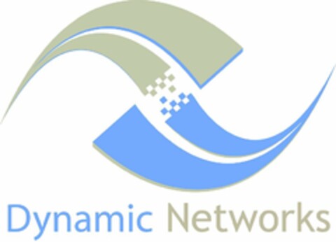 DYNAMIC NETWORKS Logo (USPTO, 10.06.2010)