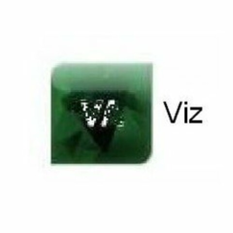 VIZ Logo (USPTO, 12/22/2010)