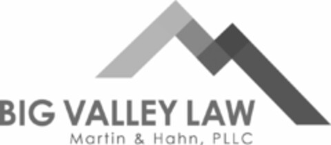 BIG VALLEY LAW MARTIN & HAHN, PLLC Logo (USPTO, 18.11.2015)