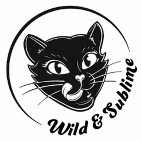 WILD & SUBLIME Logo (USPTO, 12.03.2020)