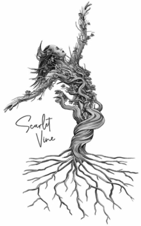 SCARLET VINE Logo (USPTO, 04.06.2020)