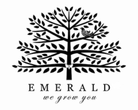EMERALD WE GROW YOU Logo (USPTO, 02.09.2010)