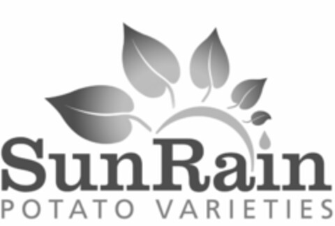 SUNRAIN POTATO VARIETIES Logo (USPTO, 13.02.2015)