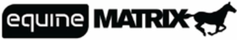 EQUINE MATRIX Logo (USPTO, 15.03.2015)