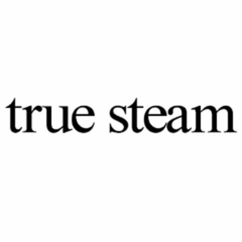 TRUE STEAM Logo (USPTO, 17.08.2016)