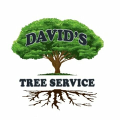 DAVID'S TREE SERVICE Logo (USPTO, 03.03.2017)