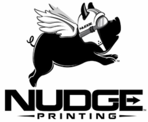 NUDGE NUDGE PRINTING Logo (USPTO, 13.06.2017)