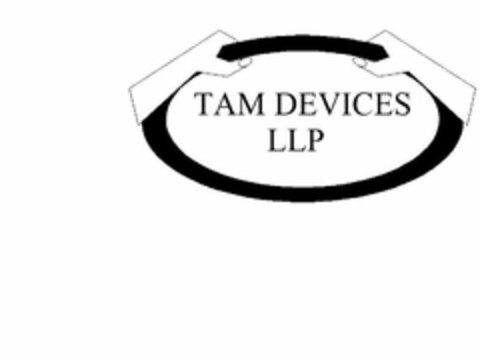 TAM DEVICES LLP Logo (USPTO, 17.12.2017)