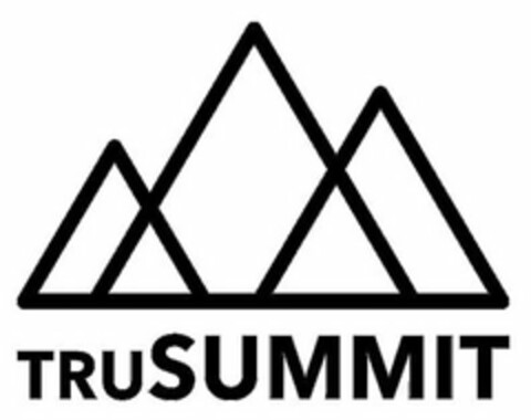 TRUSUMMIT Logo (USPTO, 28.03.2019)