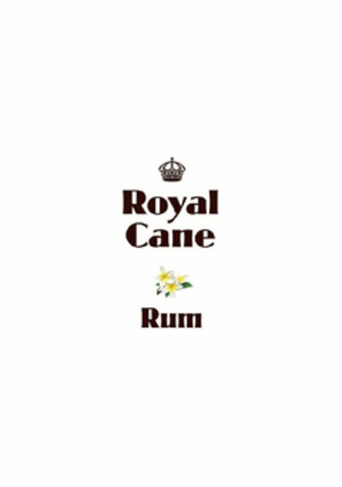 ROYAL CANE RUM Logo (USPTO, 18.12.2009)