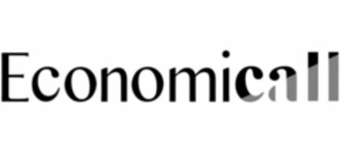 ECONOMICALL Logo (USPTO, 06/09/2010)