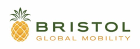 BRISTOL GLOBAL MOBILITY Logo (USPTO, 20.03.2014)