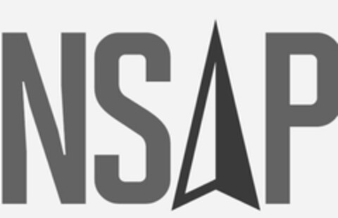 NSAP Logo (USPTO, 25.01.2016)